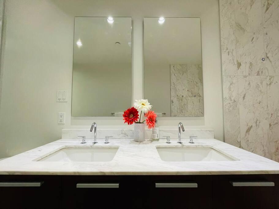 Spacious Downtown 2 Bedroom Condo With Pool And Air Conditioning Victoria Luaran gambar