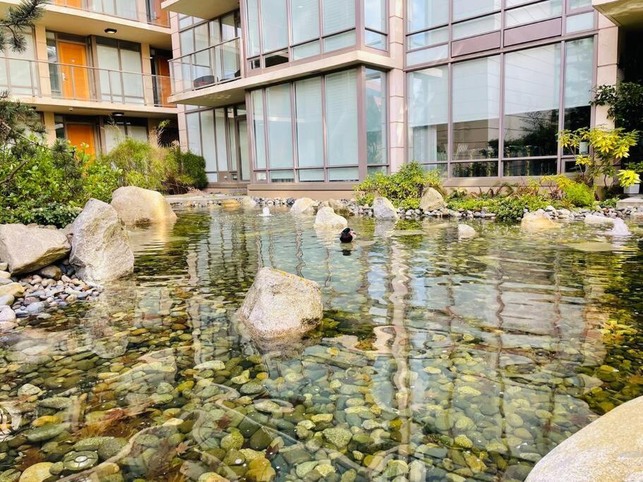 Spacious Downtown 2 Bedroom Condo With Pool And Air Conditioning Victoria Luaran gambar