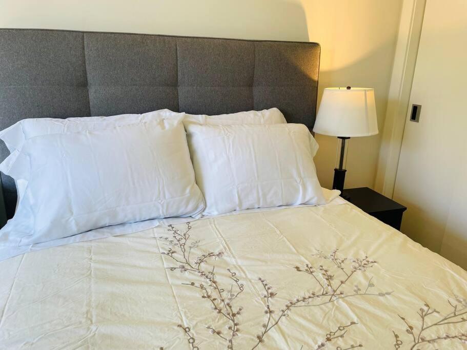 Spacious Downtown 2 Bedroom Condo With Pool And Air Conditioning Victoria Luaran gambar