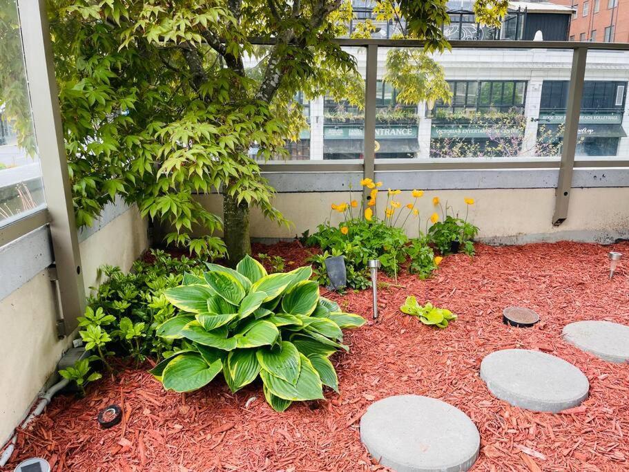 Spacious Downtown 2 Bedroom Condo With Pool And Air Conditioning Victoria Luaran gambar
